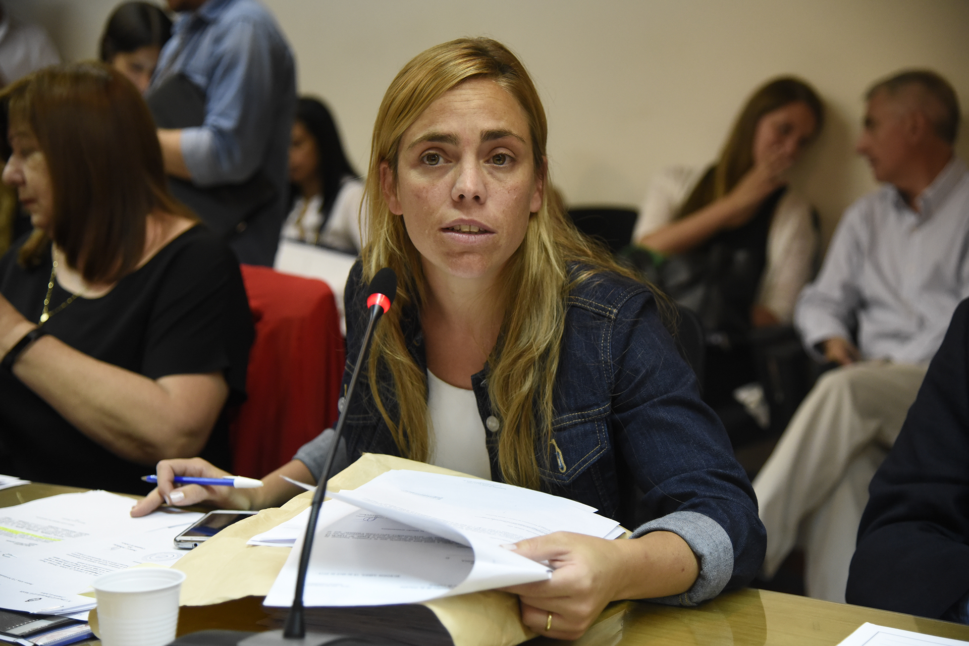Galeria de imagenes de la noticia APRUEBAN EN COMISIÓN DE PRESUPUESTO Y HACIENDA LOS CAMBIOS EN BIENES PERSONALES